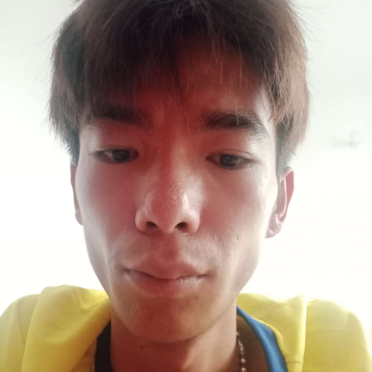 小松鼠有直率的照片