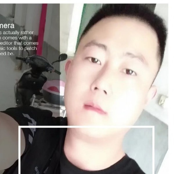 孤单作废的照片