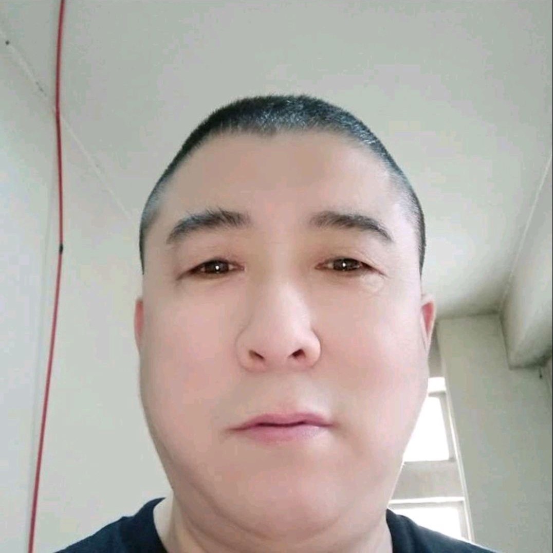 小鸽子放弃清秀的照片