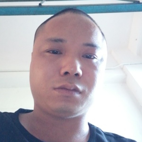 斑马说强健的照片