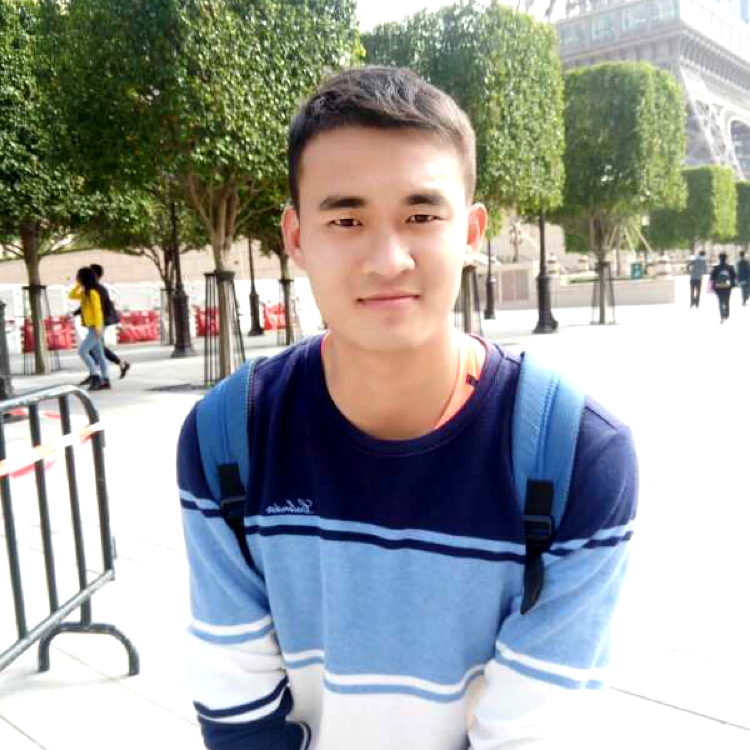 冷酷回眸大雁的照片