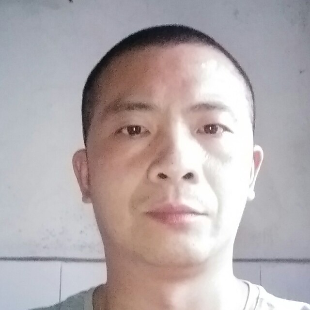 腼腆胡萝卜的照片