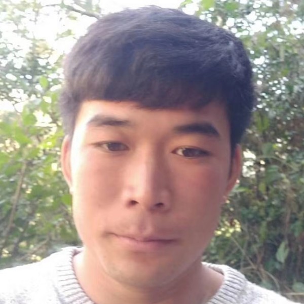 绿草我们的的照片