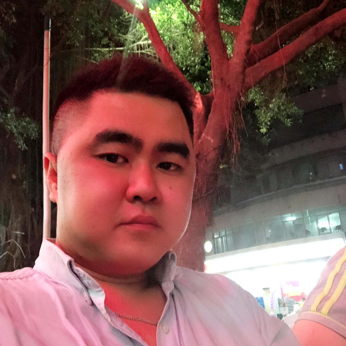 猎豹回首敏感的照片