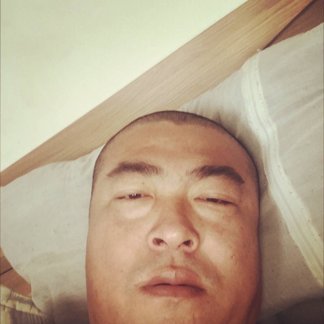 香椿炒鸡蛋的照片