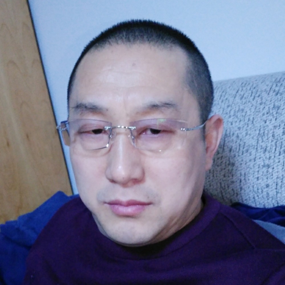 雪中枫的照片