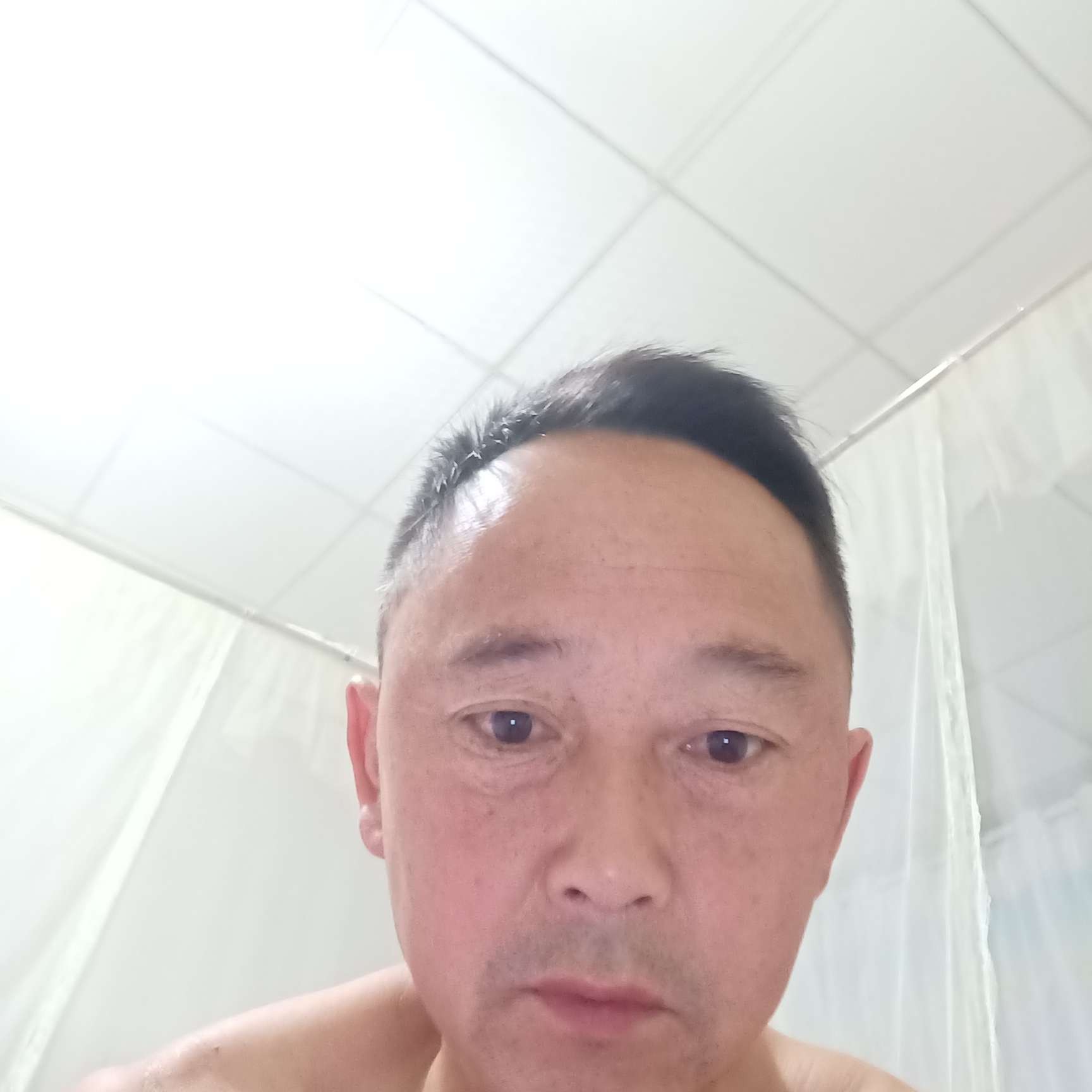 猫咪深拥疯狂的照片