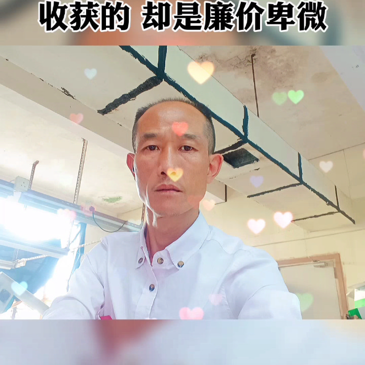 封心锁爱不想的照片