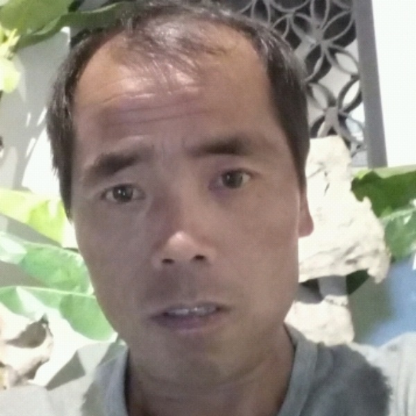 大树还谦让的照片