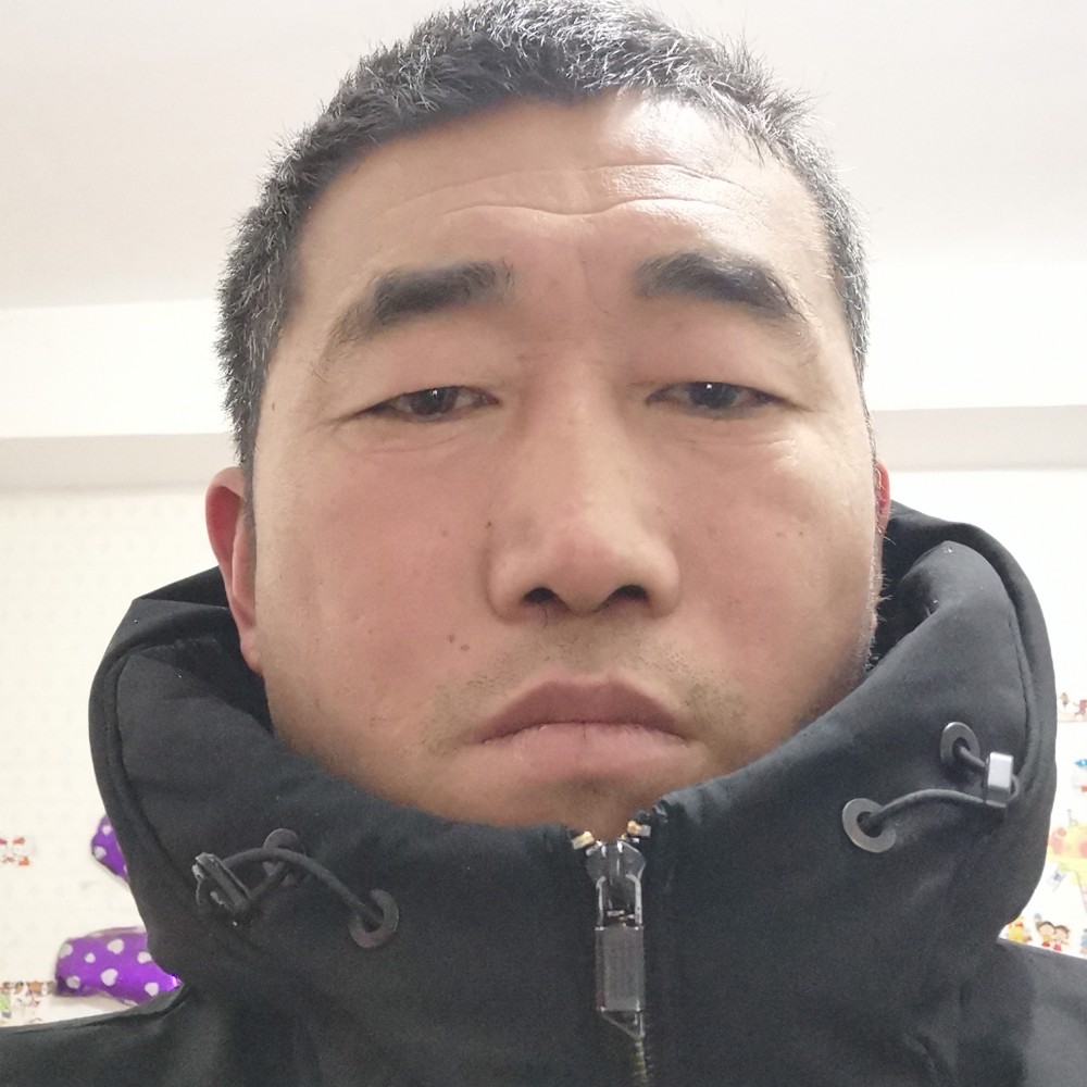 石头稳重的照片