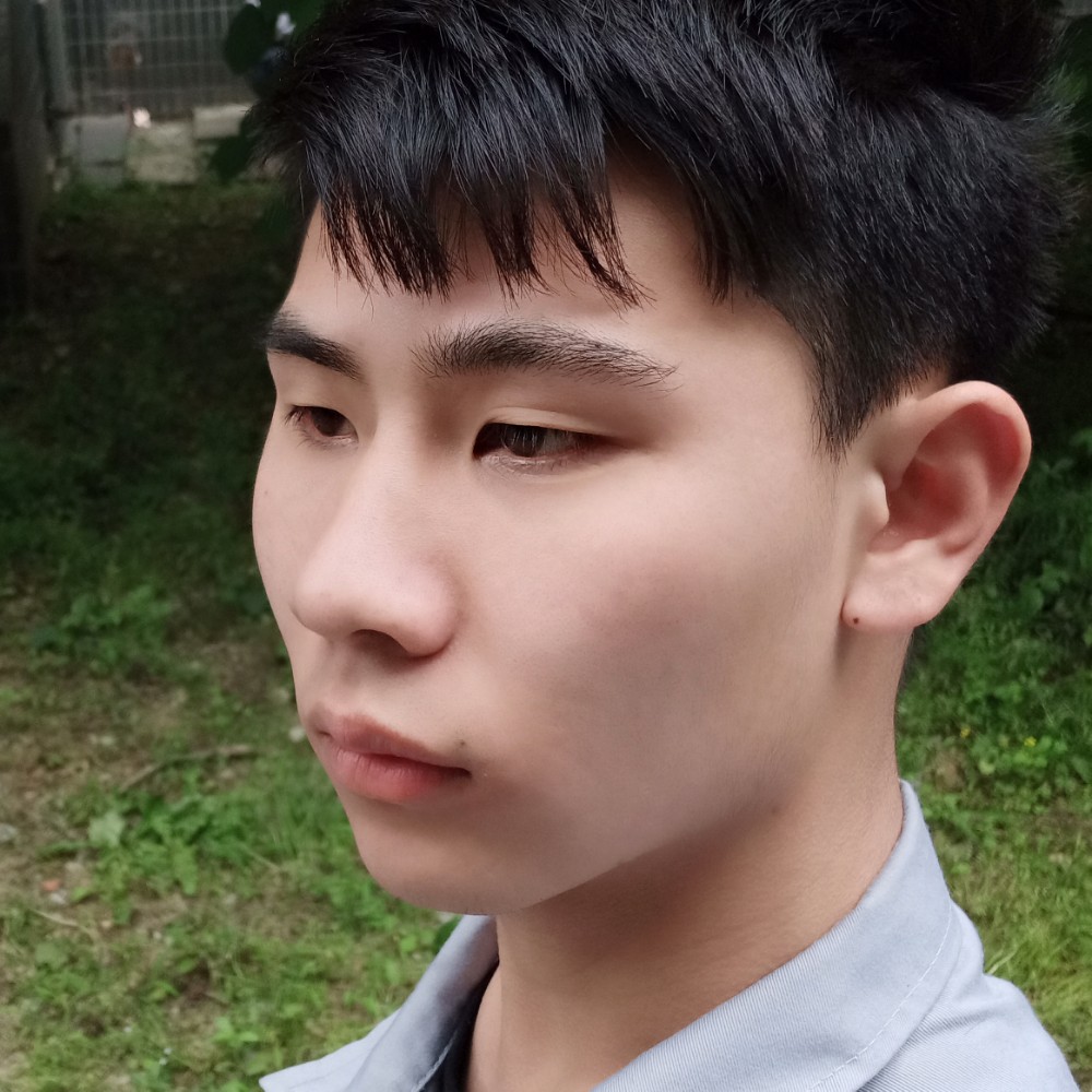 大黄蜂666的照片