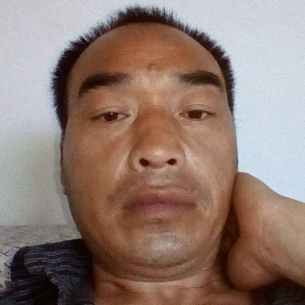 白羊淡淡的照片