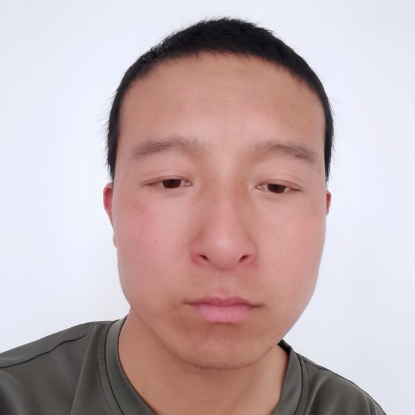 风中多么牛排的照片