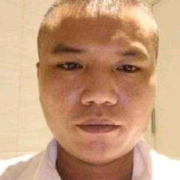 活力漫步含羞草的照片