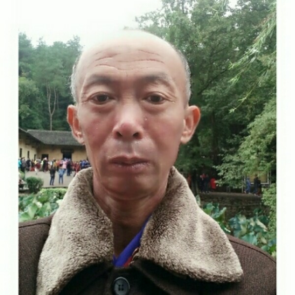 整齐黄豆的照片