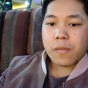 丰富漫步小天鹅的照片