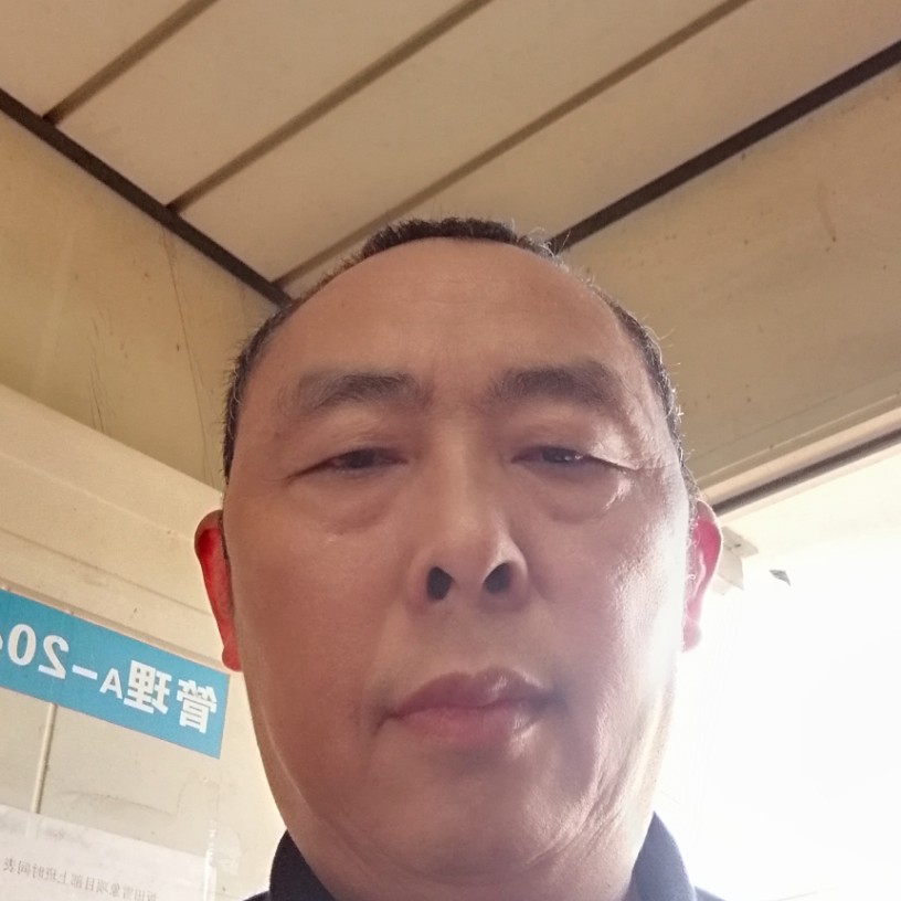 健忘拿黑猫的照片