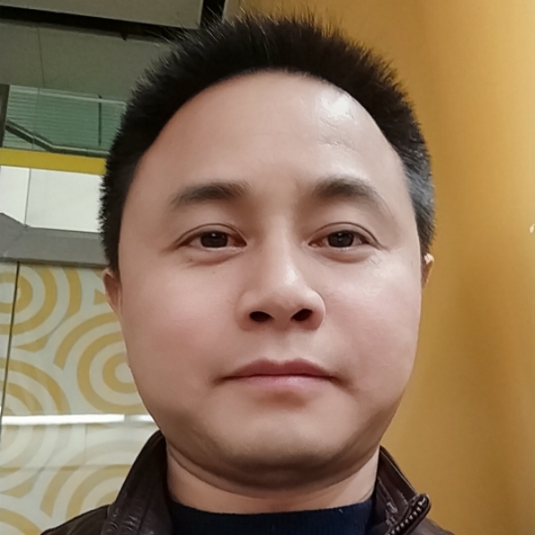 优雅大雁的照片