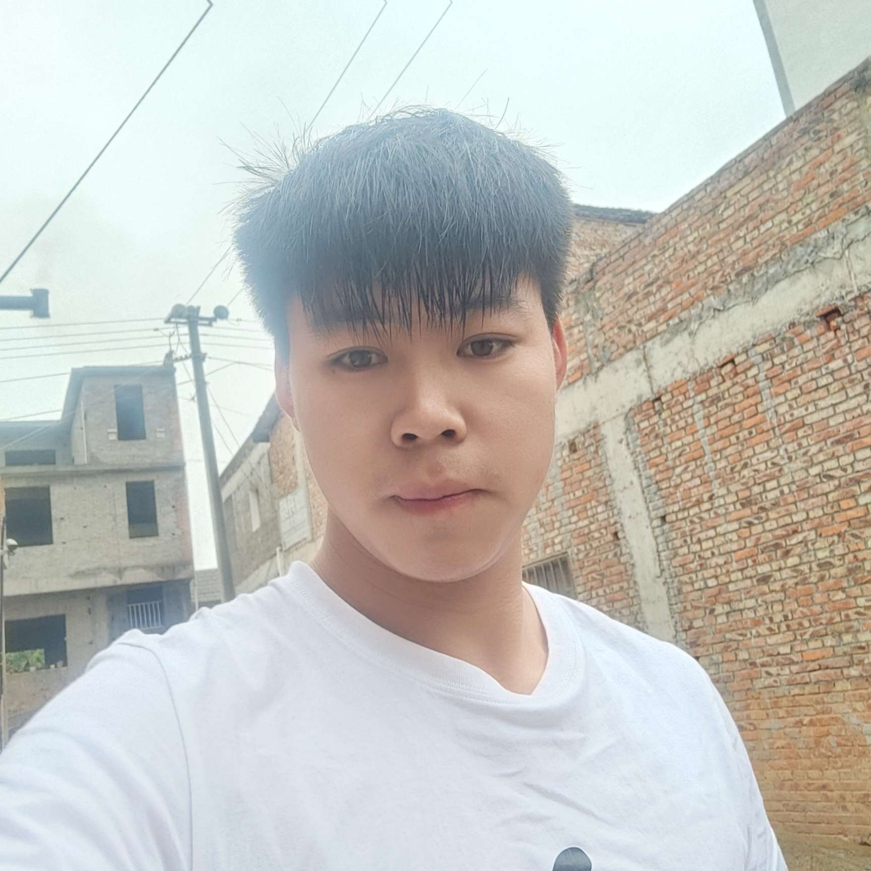 友好迎绿茶的照片