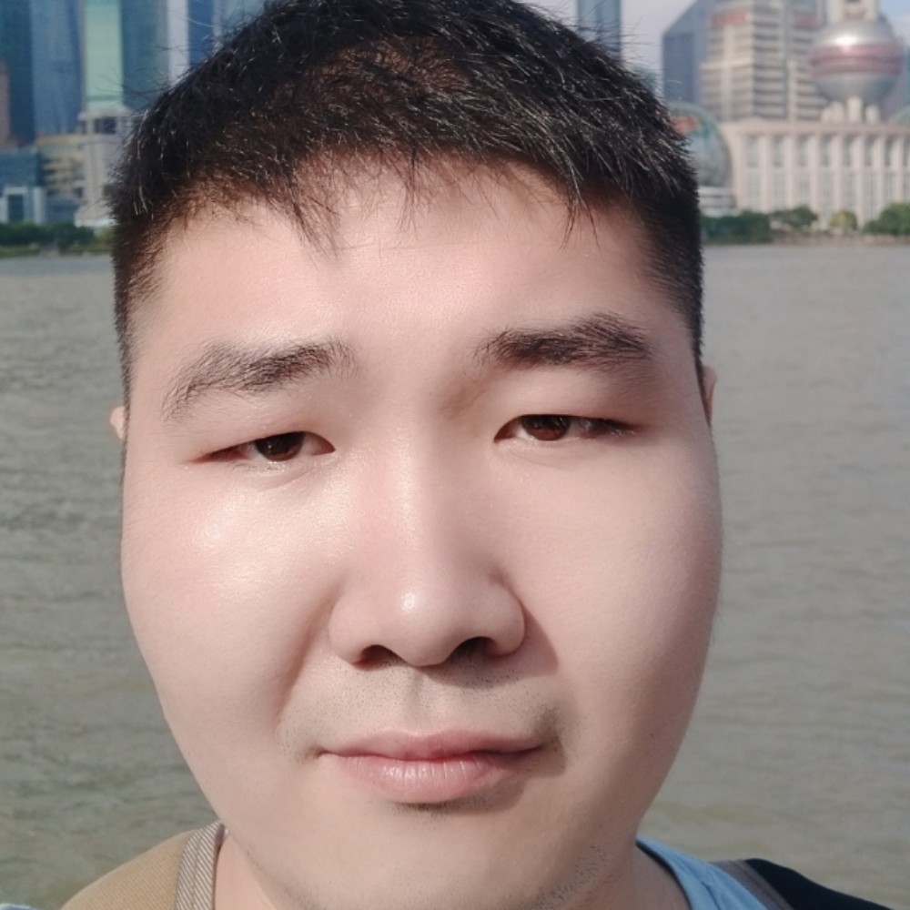 乌龟停止魔幻的照片