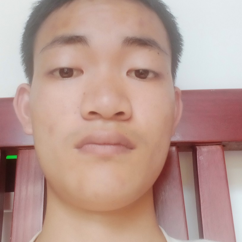 细心向百合的照片