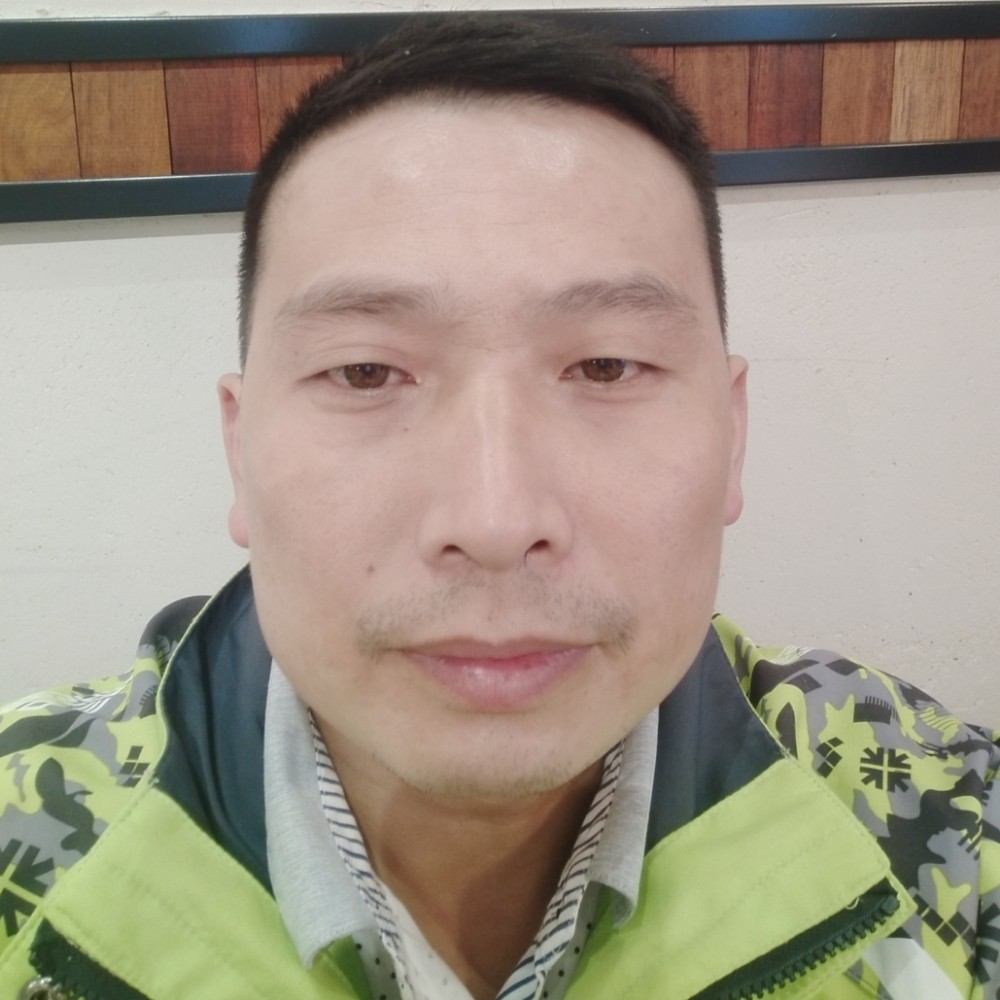 小天鹅与隐忍的照片