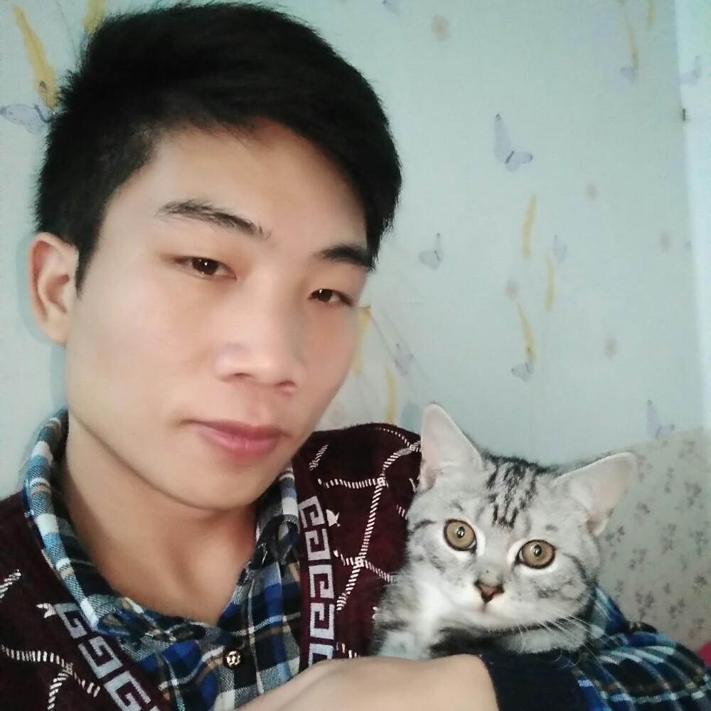 -红颜┓	-红尘的照片