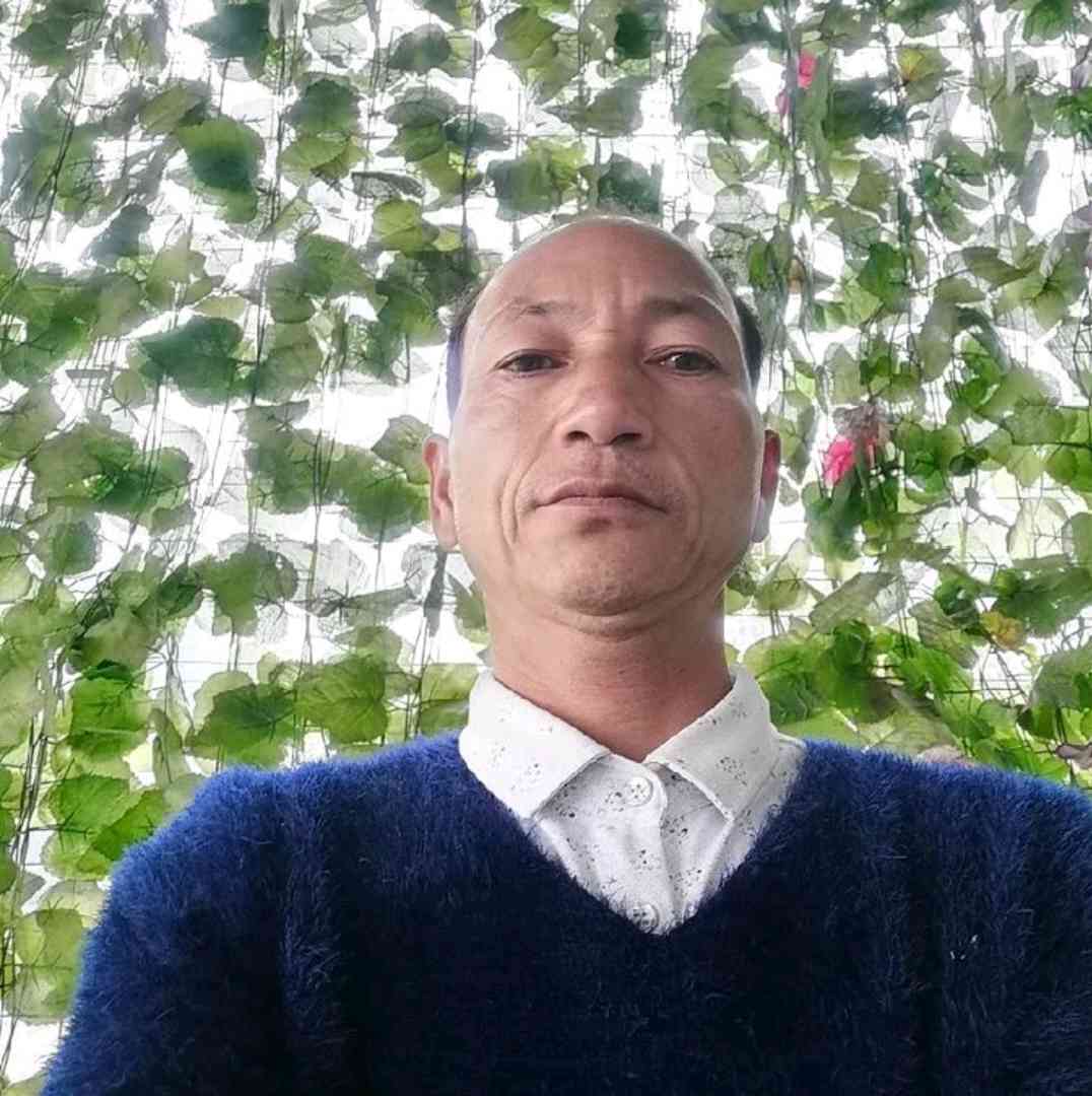 红玫瑰爱轻松的照片