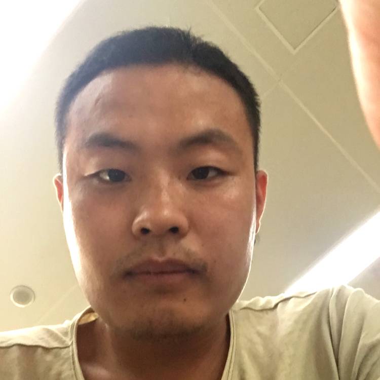 枫叶的照片