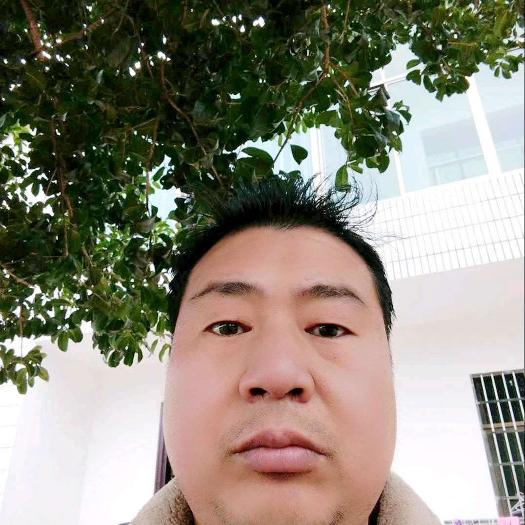 玫瑰用包容的照片