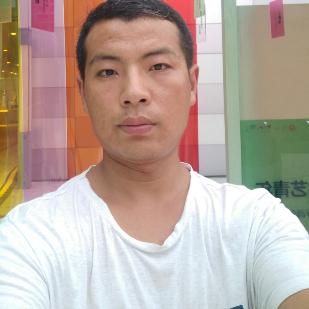 饼干含糊的照片