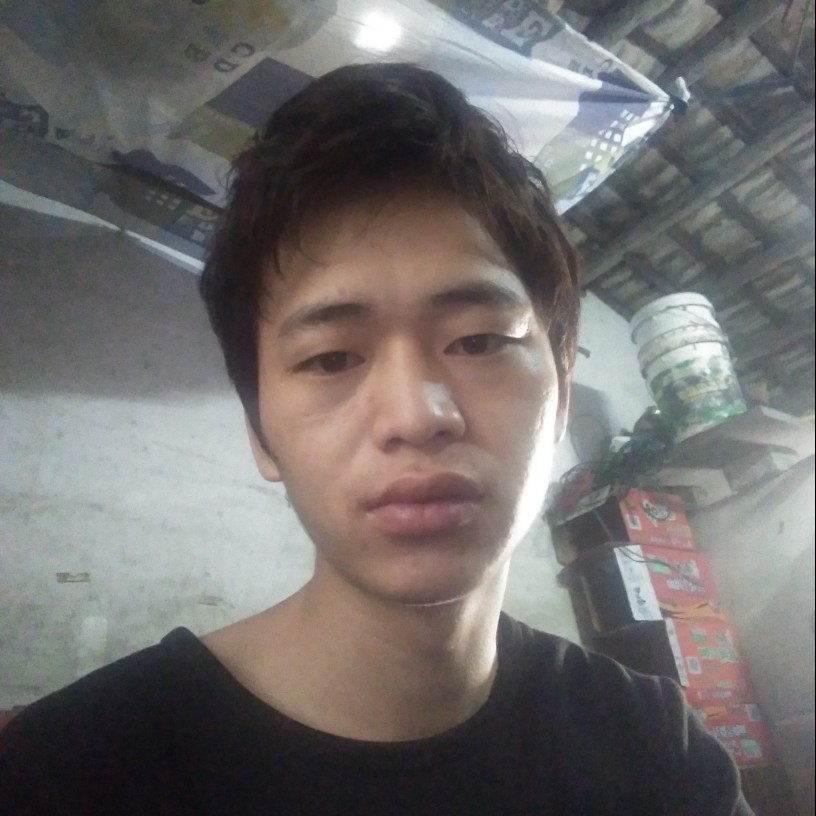 rtist的照片