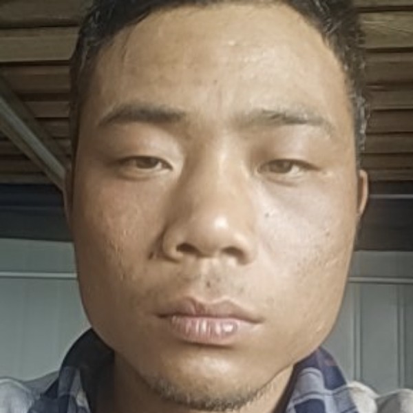 柔弱漫步香水的照片