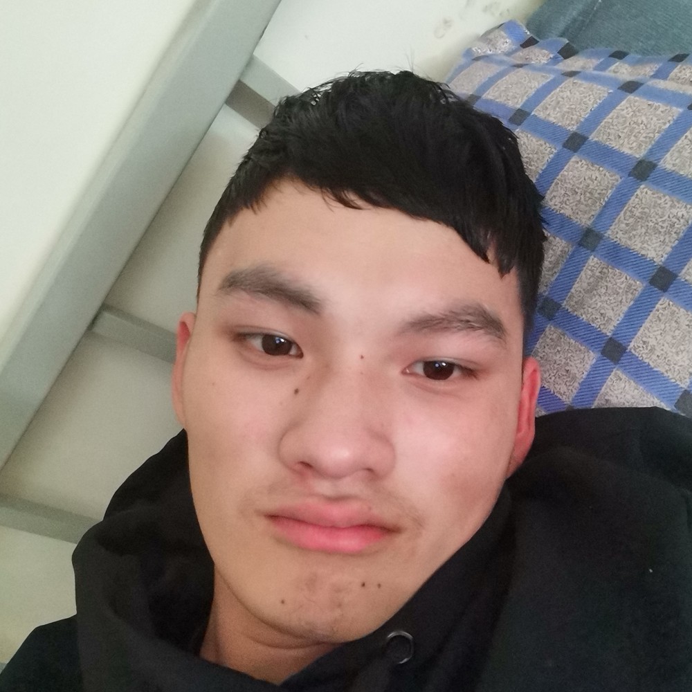 玫瑰酷炫的照片