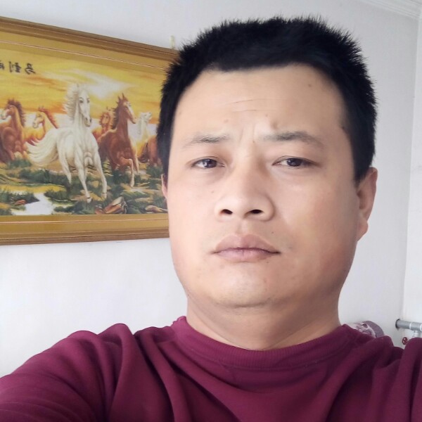 高兴他的照片