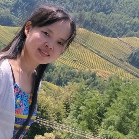 纯情的小鸽子的照片