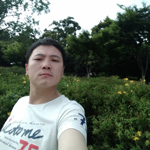 萧瑟的风。的照片
