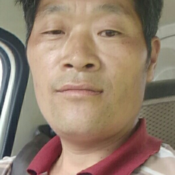 是你伤了我的心的照片