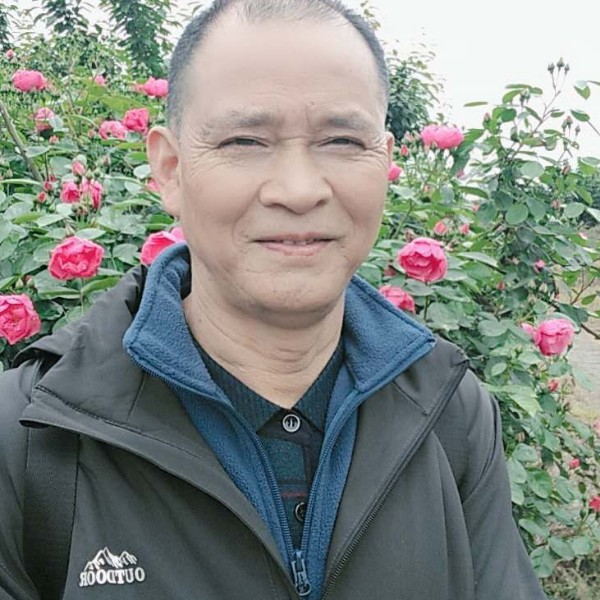 离歌还幸福的照片