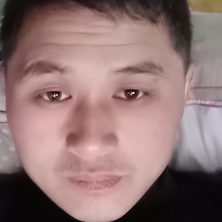 金毛美丽的照片