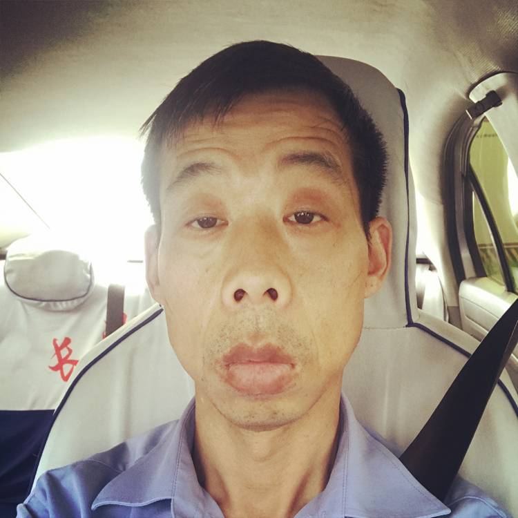 无限蹙眉康乃馨的照片