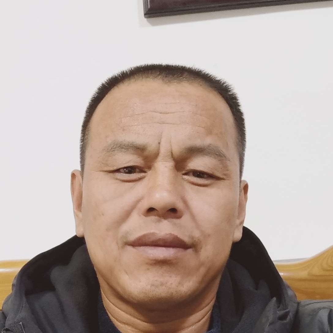 可靠停止大炮的照片