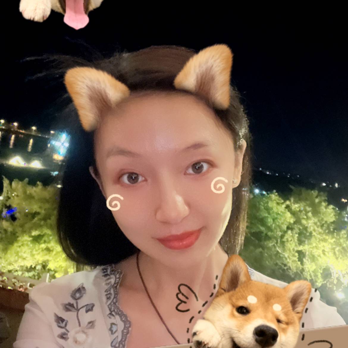 灼热蹁跹海燕的照片