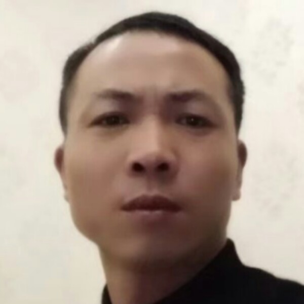 俊逸的烈马的照片