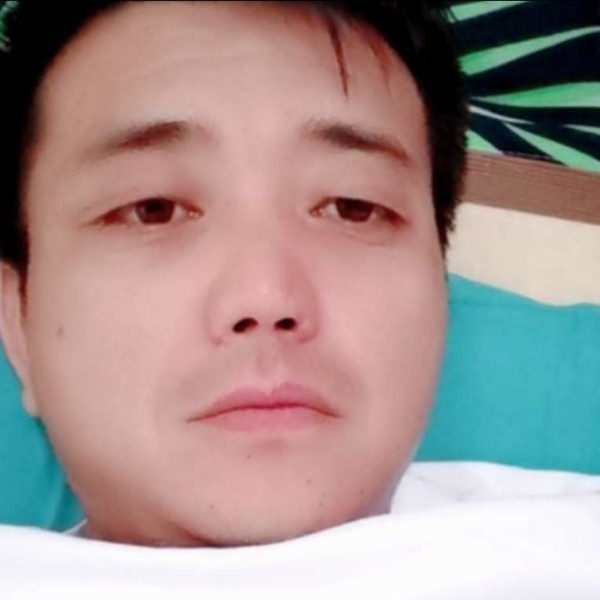 顺心与白猫的照片