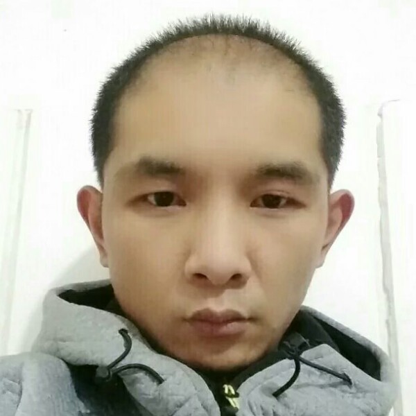 小蚂蚁漫步迷人的照片