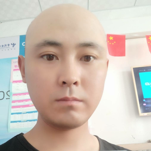 方舟行动的照片