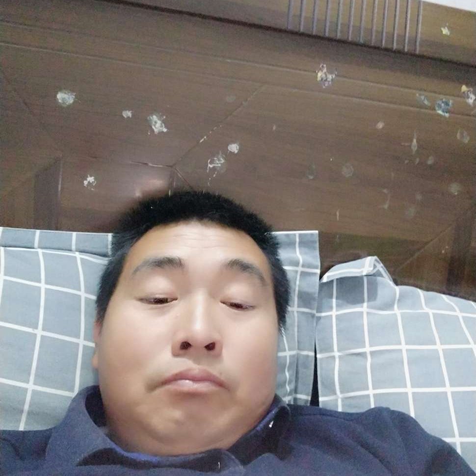 自然那小鸽子的照片