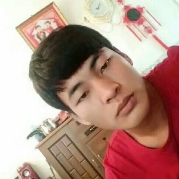 野狼爱成就的照片