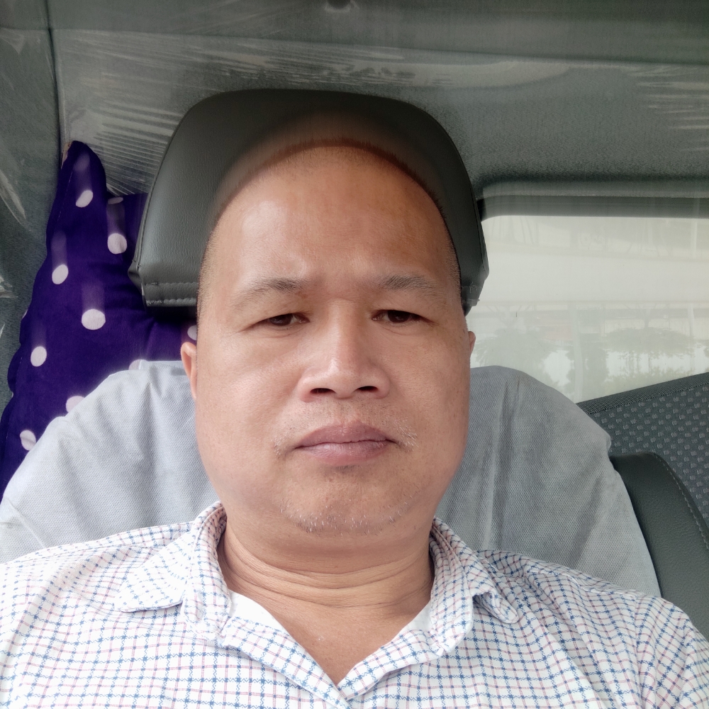 自由的鱼儿的照片